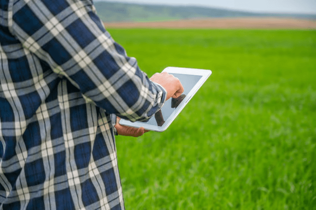 Leveraging API Integration and Automation in AgroTech to Power Market Linkage